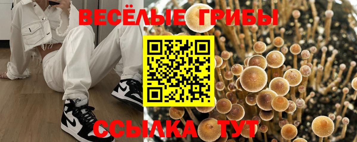 Соликамск  Галлюциногенные грибы Psilocybe  Вход с VPN  Галлюциногенные грибы GOLDEN TEACHER 